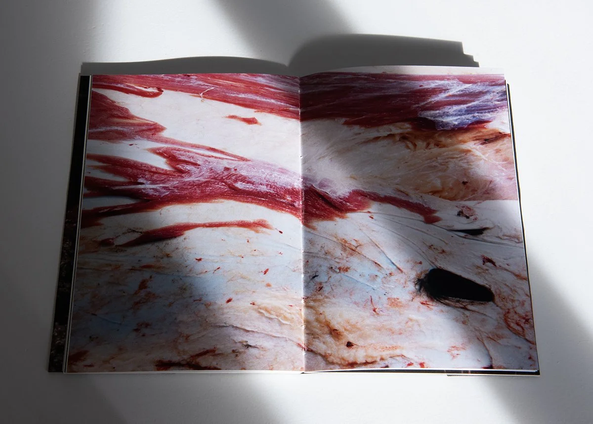 DOMESTIC book documentation_06.jpg