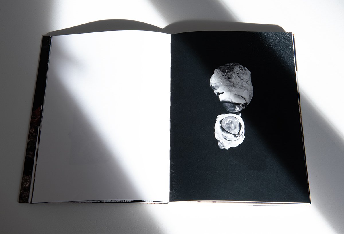 DOMESTIC book documentation_07.jpg