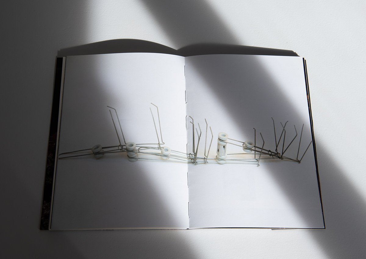 DOMESTIC book documentation_01.jpg