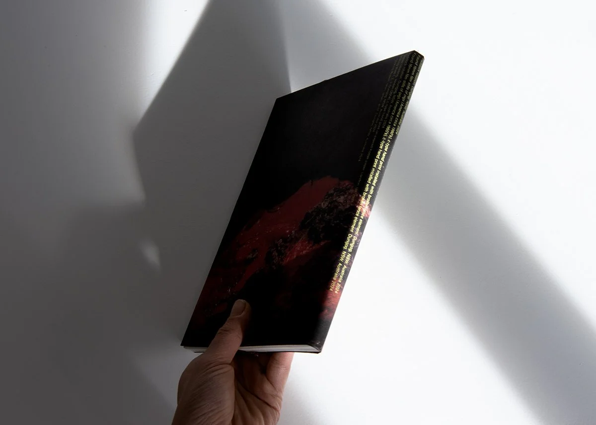 DOMESTIC book documentation_03.jpg