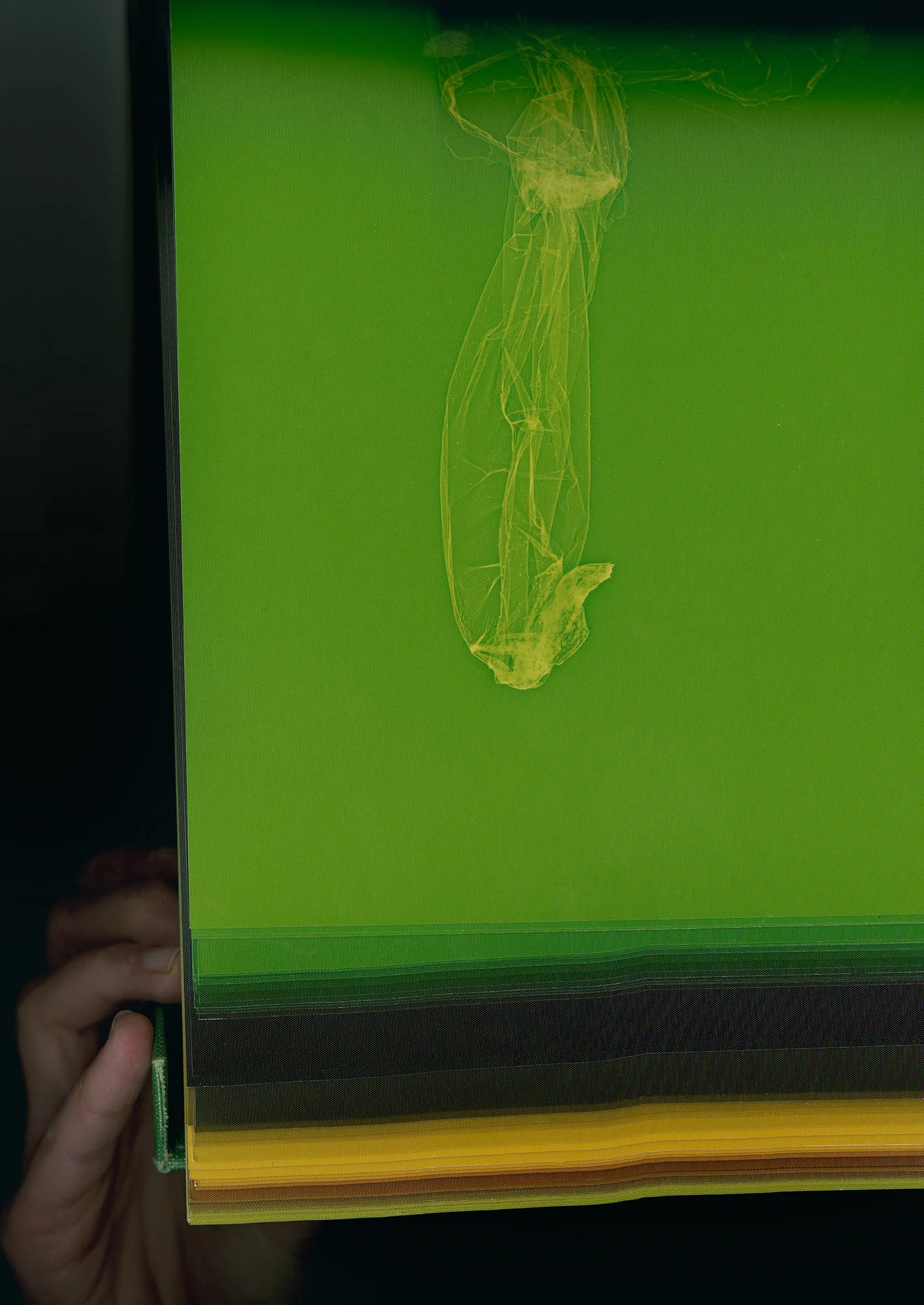 SKINS_gradient flatbed.jpg