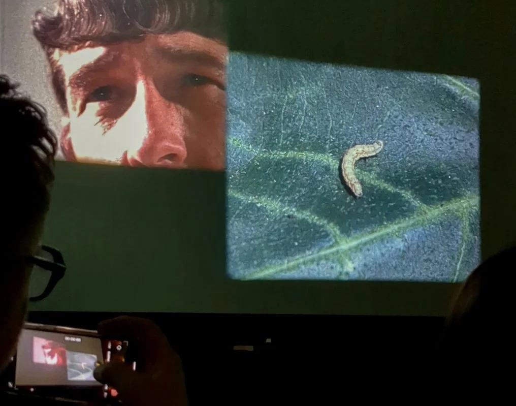 Documentation from DOMESTIC and the dispersion of its contents, Reference Point, 2025 - 16mm projection performance with David Leister and Freddy Lomas (Kinn, Rochemann)
Image credit: Ramona Güntert and Wojciech Kawczyk