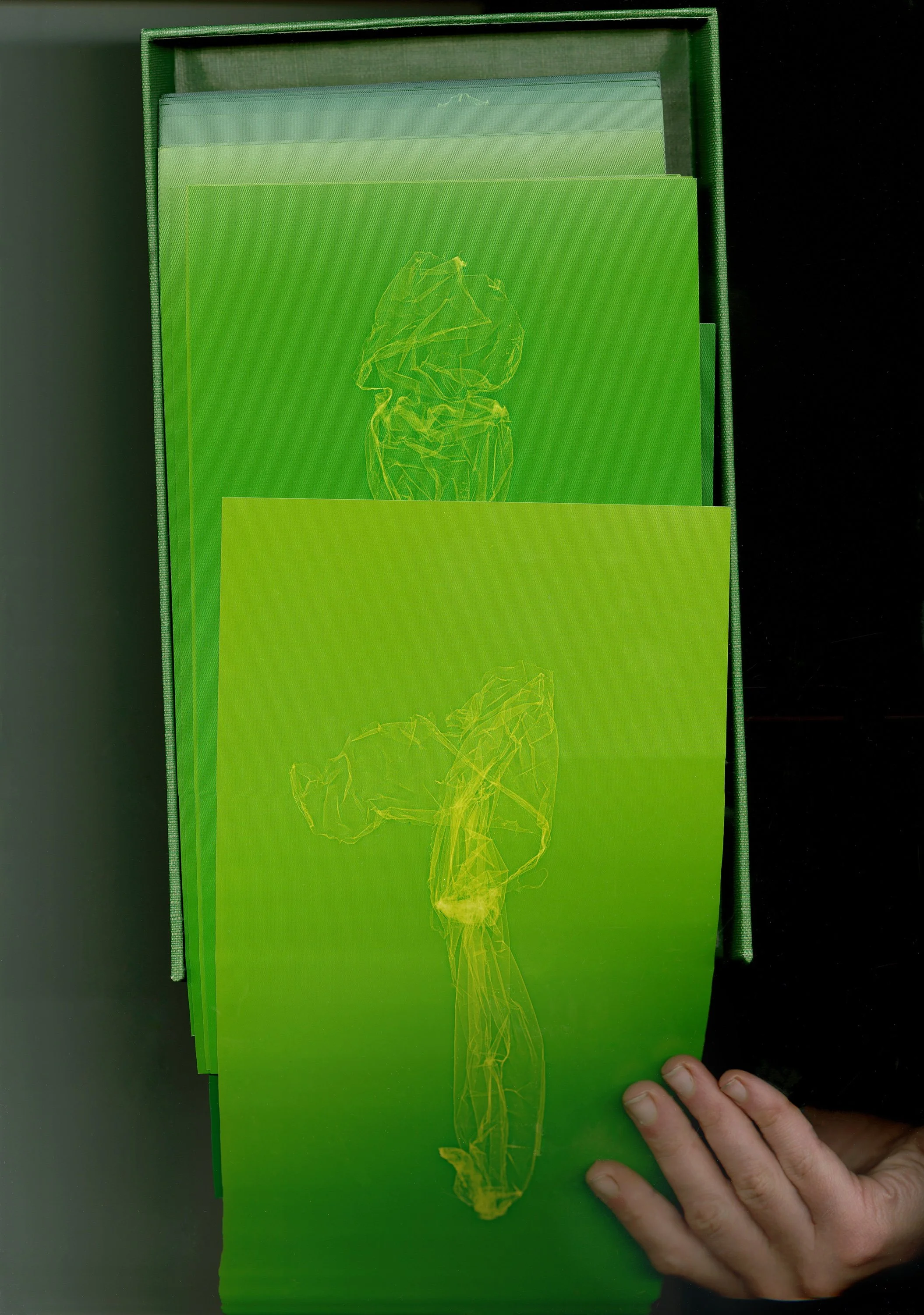 SKINS book form_09.jpg