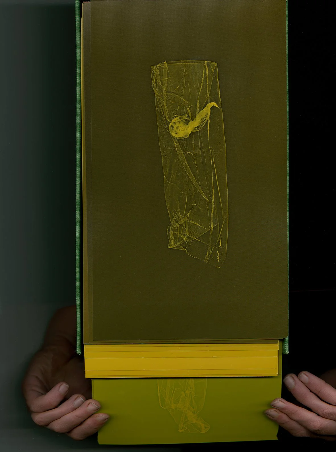 SKINS book form_07.jpg