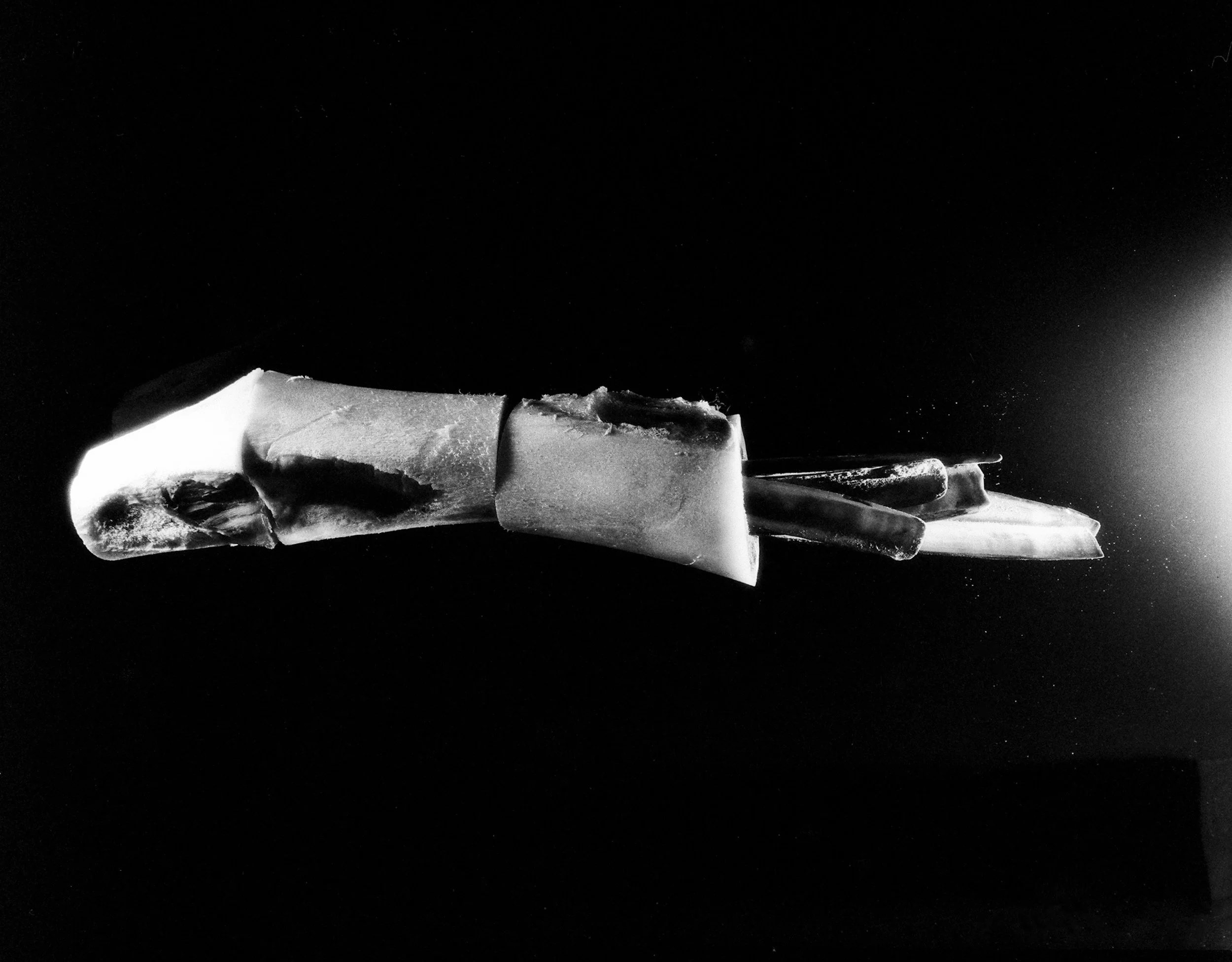 St Johns signature, 2021