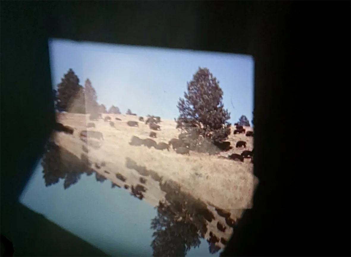 Documentation from DOMESTIC and the dispersion of its contents, Reference Point, 2025 - 16mm projection performance with David Leister and Freddy Lomas (Kinn, Rochemann)
Image credit: Ramona Güntert and Wojciech Kawczyk