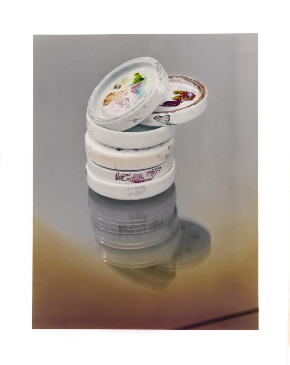 Working Palette #2, 2023, black and white silver gelatin prints, dry mounted on board, hand coloured and retouched with photographic dye, 30.5cm. x 40.6cm 