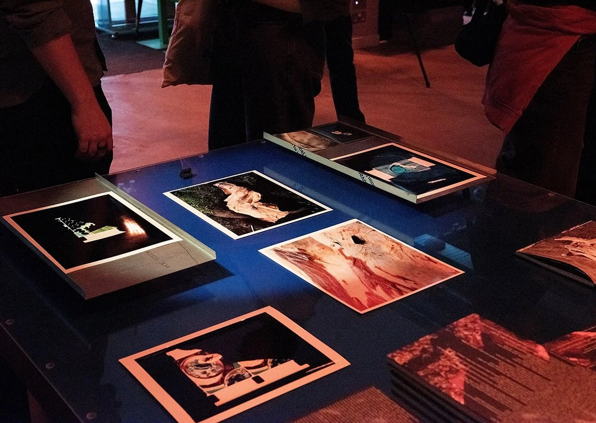 Documentation from DOMESTIC and the Dispersion of Contents, book launch + performance + Discussion at Reference Point, London, 2025

Image credit: Ramona Güntert and Wojciech Kawczyk