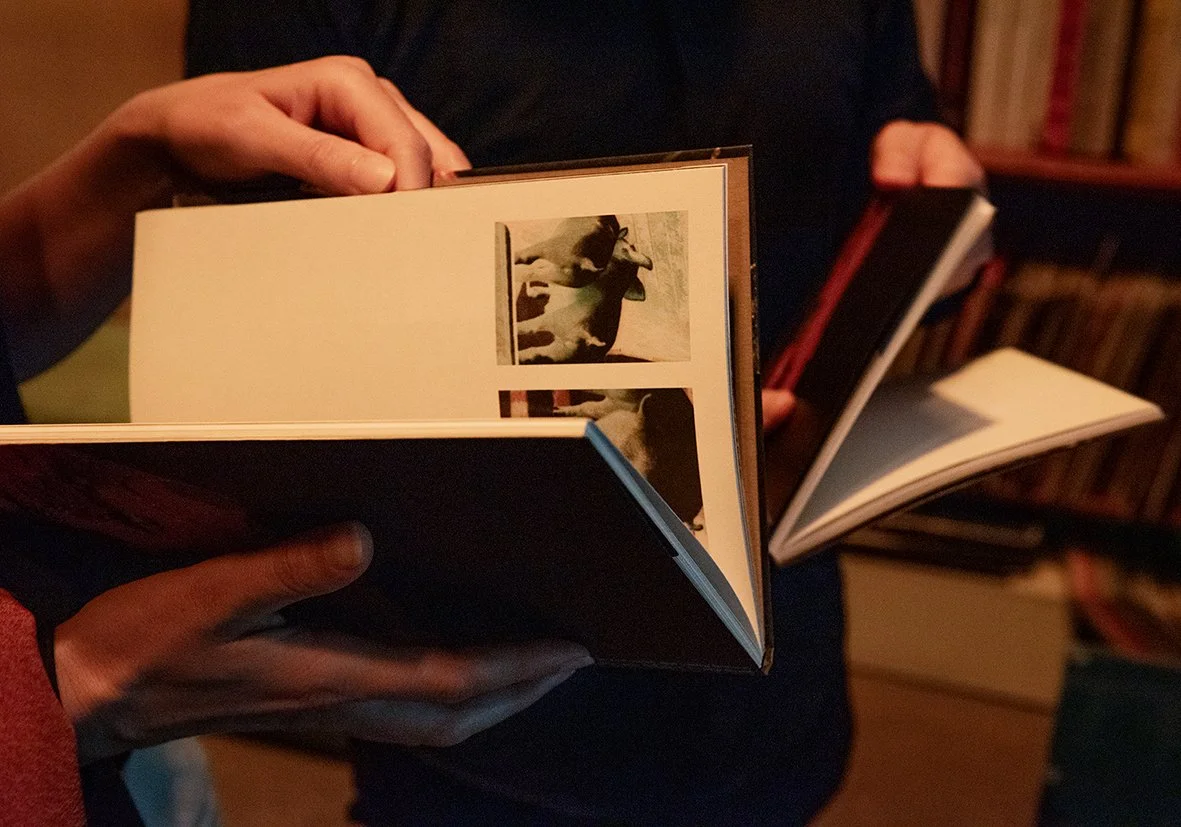 Documentation from DOMESTIC and the Dispersion of Contents, book launch + performance + Discussion at Reference Point, London, 2025

Image credit: Ramona Güntert and Wojciech Kawczyk
