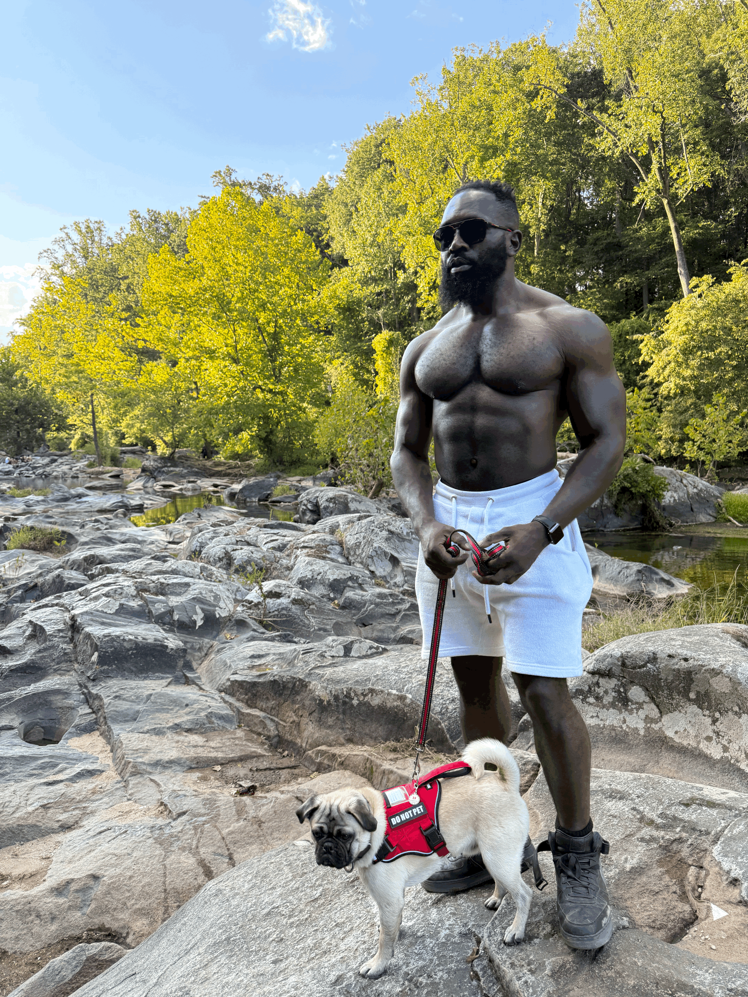 The Over 40 Blueprint Program