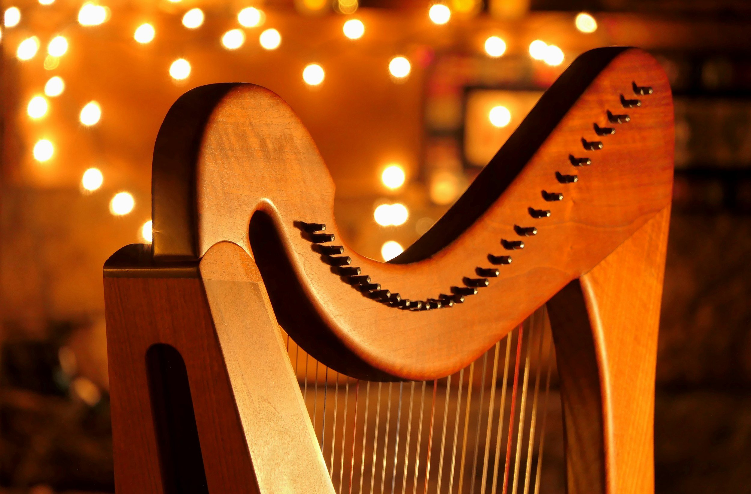 Harpist at Middletown Meeting