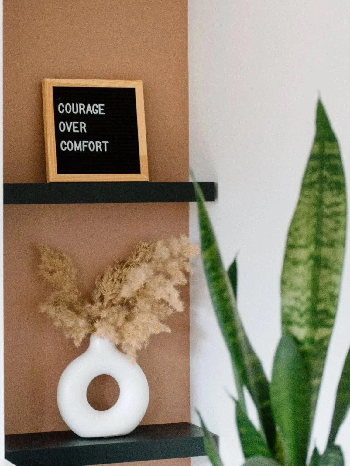 A black shelf with a framed letter board reading "COURAGE OVER COMFORT," a white vase with dried beige pampas grass, and a large green plant with striped leaves in the foreground.