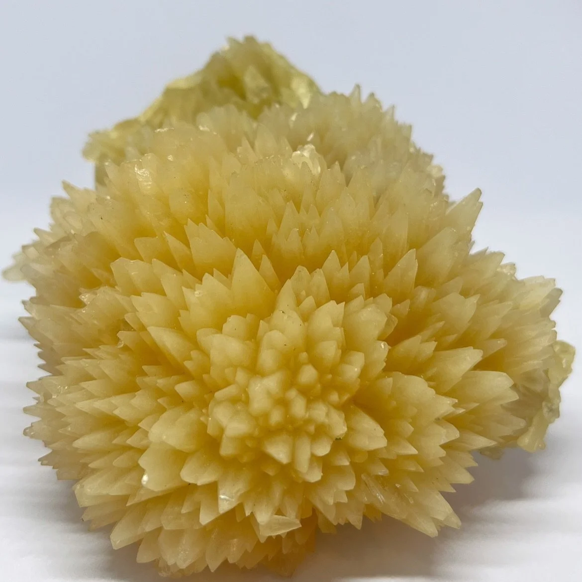 Exquisite Calcite Crystal in Volcanic Basalt