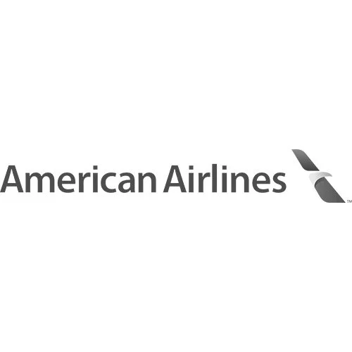 American Airlines logo in black and white with the airline name and stylized bird symbol.