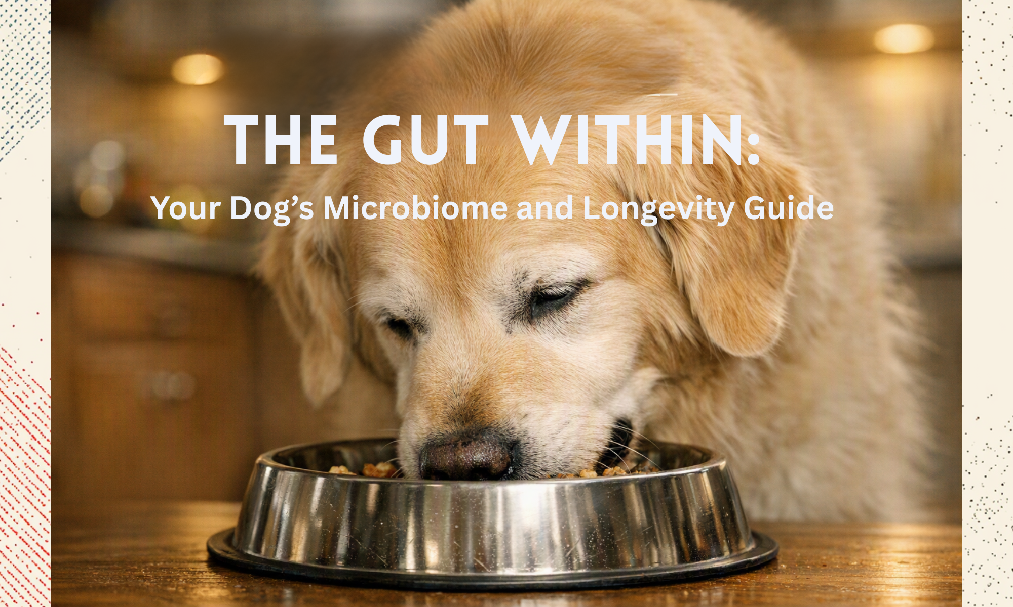 The Gut Within: How Your Dog's Microbiome Shapes Health, Longevity, and Vitality Across Every Breed. A Comprehensive Guide for Dog Owners.