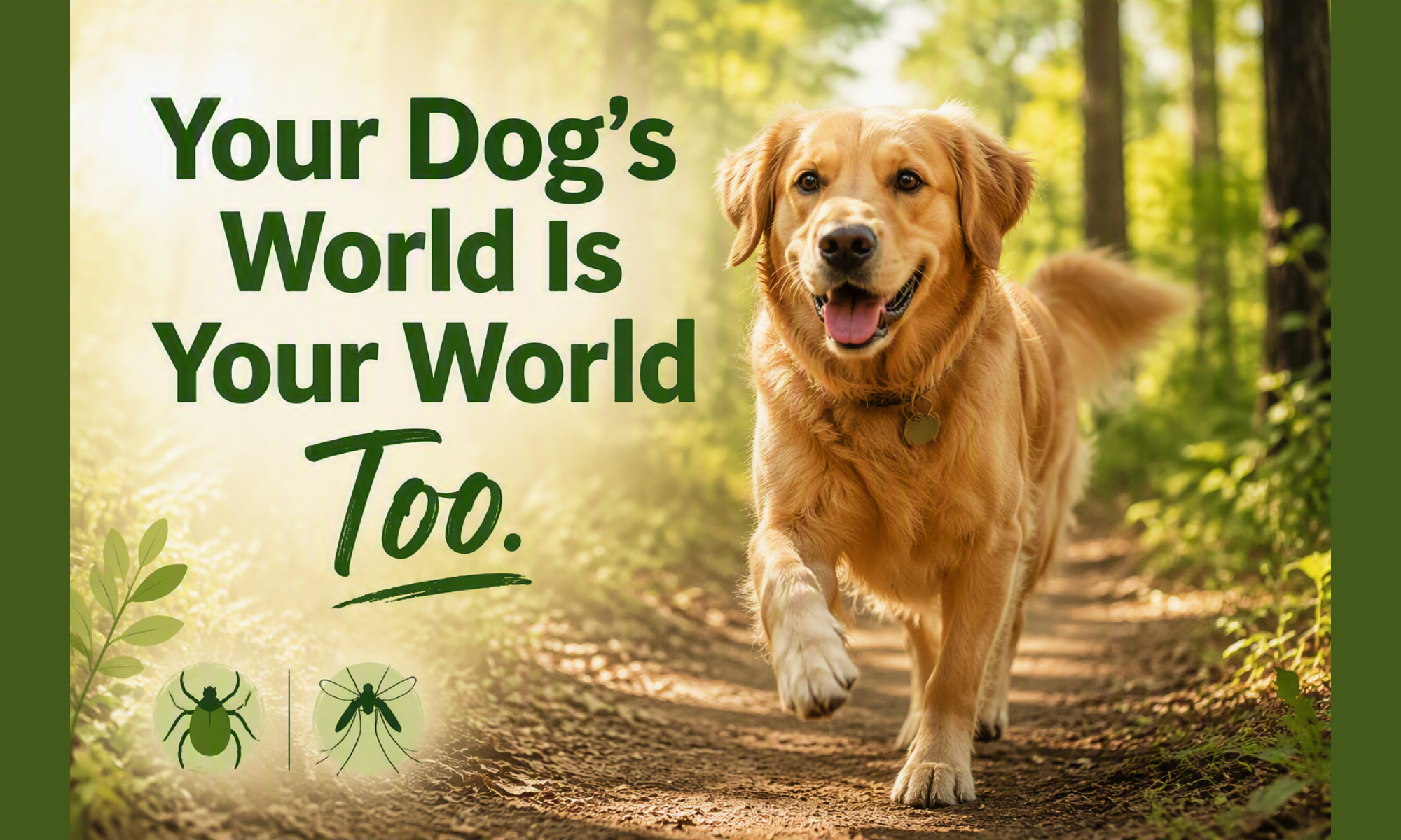 Your Dog’s World Is Your World Too: Zoonotic and Vector-Borne Diseases Every Dog Owner Needs to Know.