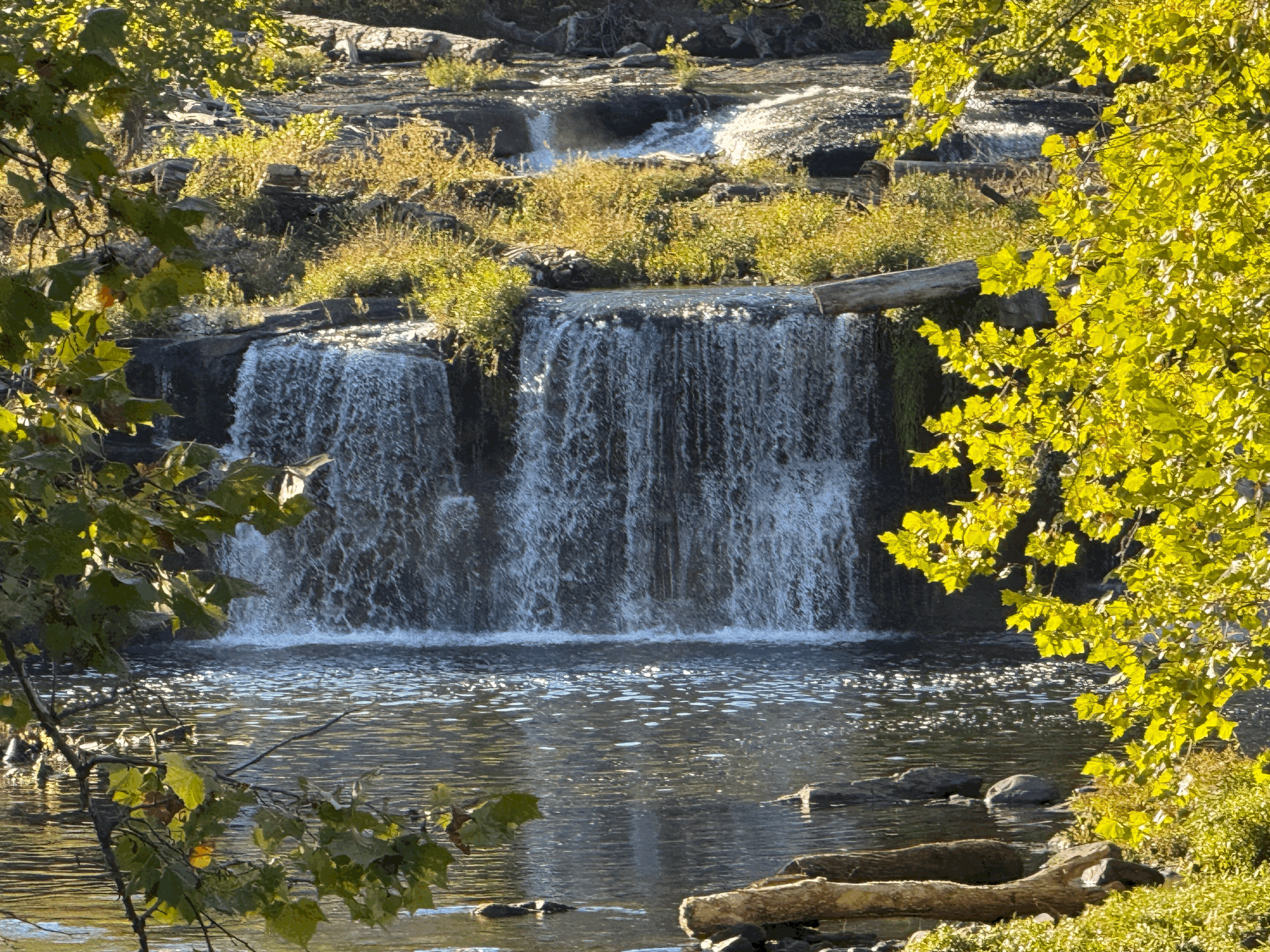 Grant Writing and Advisory