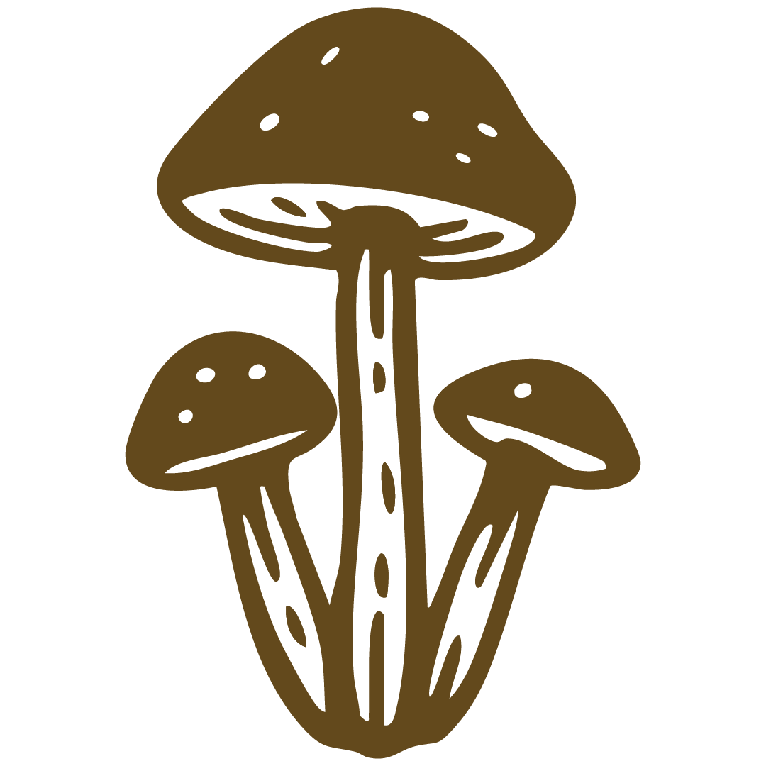 A drawing of three brown mushrooms with stem and cap, on a black background.