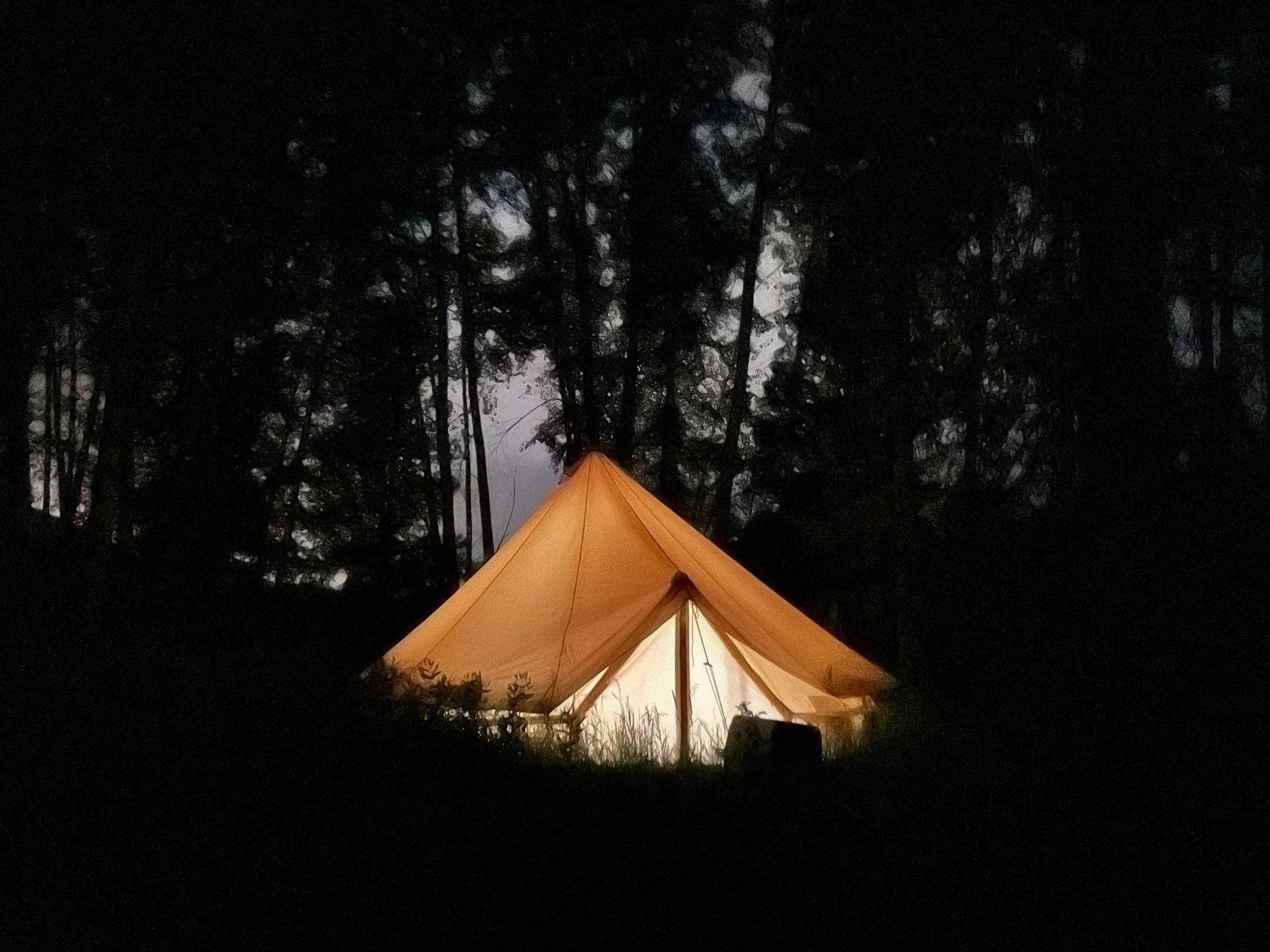 A glowing camping tent illuminated from within, set up in a dark forest surrounded by tall trees.
