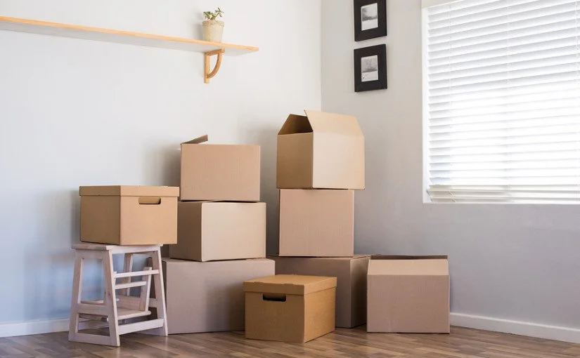 Multiple cardboard moving boxes on a wooden floor next to a white wall with a window and a small shelf with a potted plant.