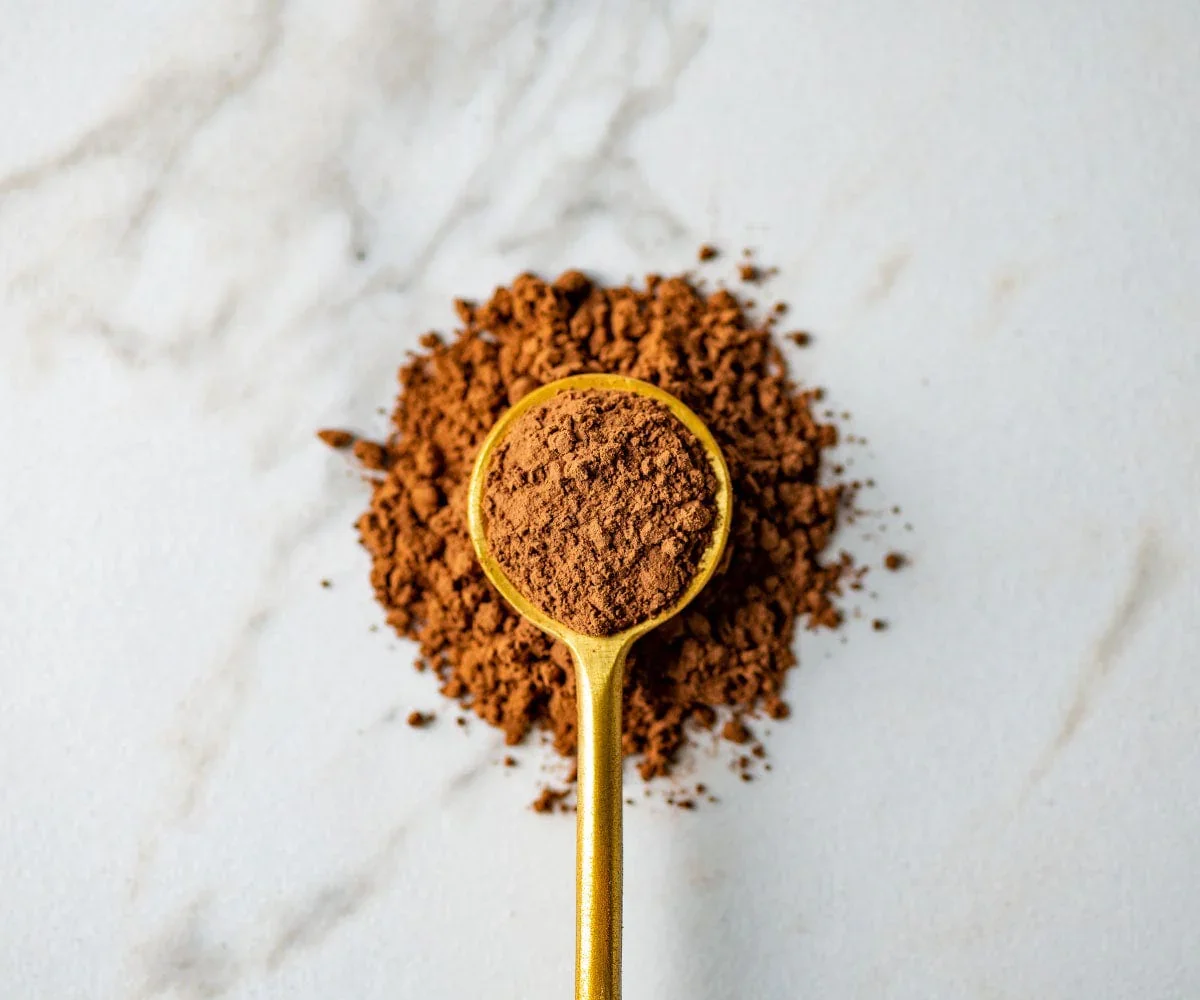 dutch-cocoa-powder_spoon_macro.jpg.webp
