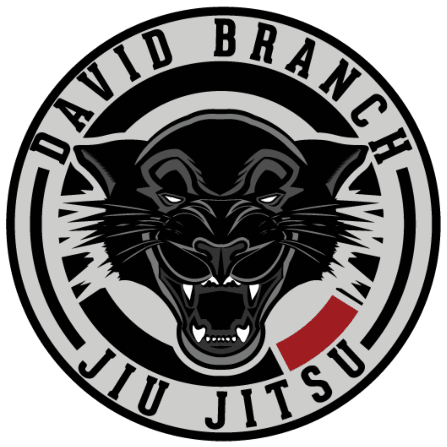 David Branch Jiu jitsu Montville
