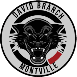 David Branch Jiu jitsu Montville