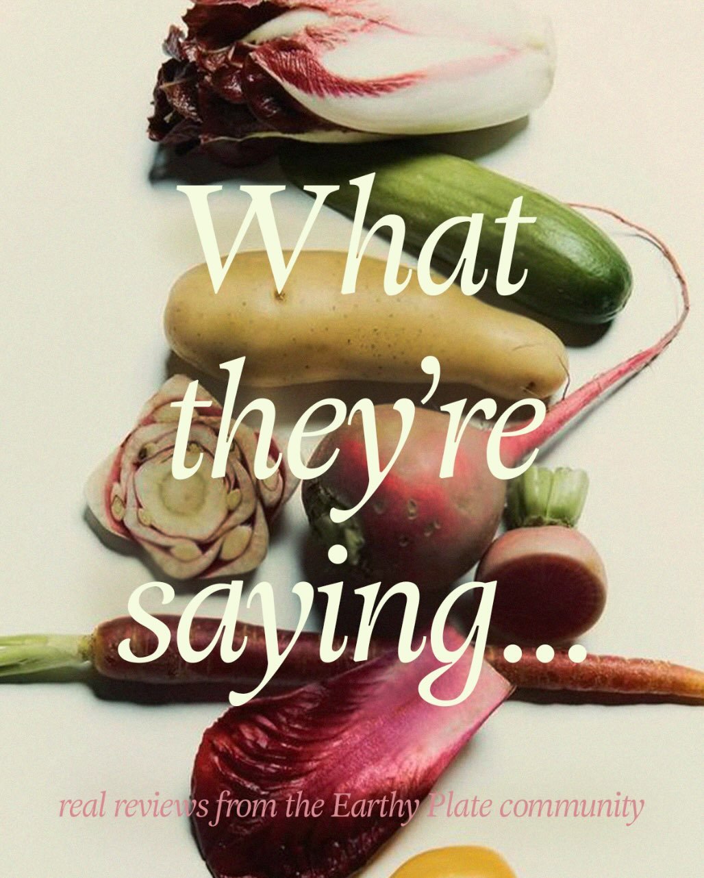 what they&rsquo;re saying 🥕 real reviews from some raving customers&hellip;

this is why earthy plate exists! it&rsquo;s real food that makes life feel simpler, steadier, more supported.

from busy parents to night-shift nurses to holistic practitio