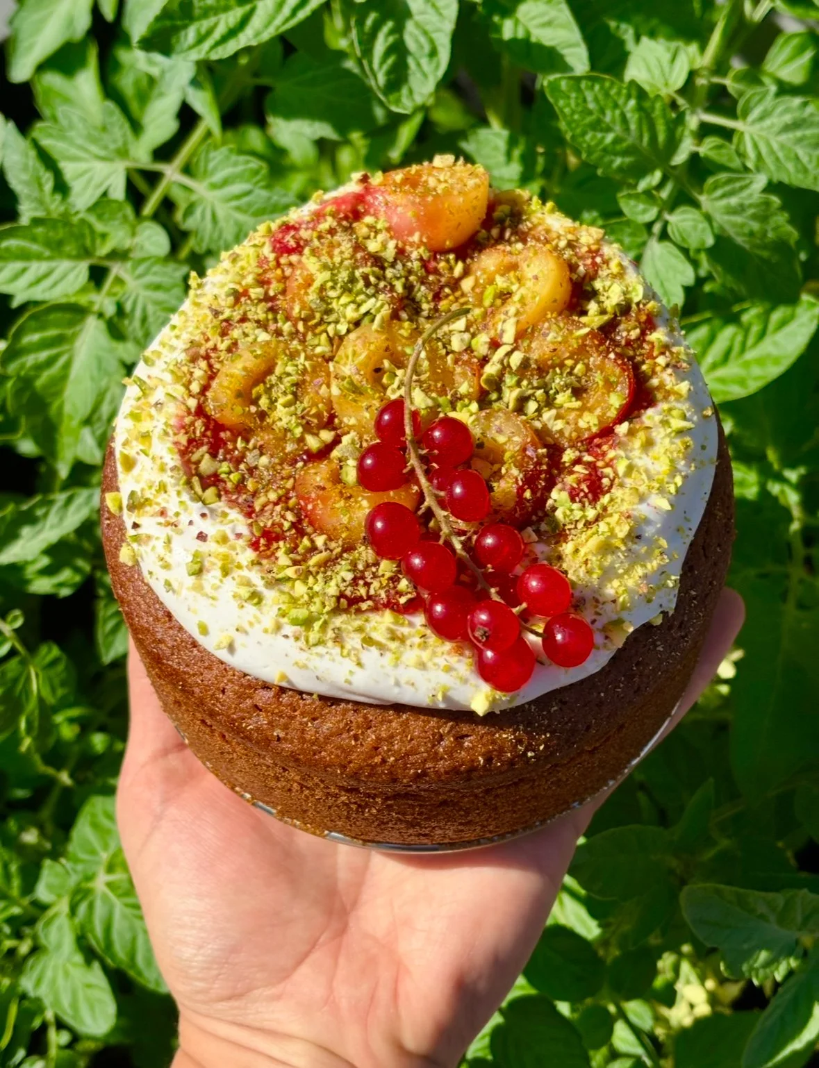 View recent photos 3.jpeg