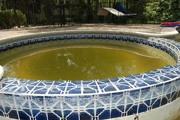 Before Moosehead Pool Services Tile Cleaning