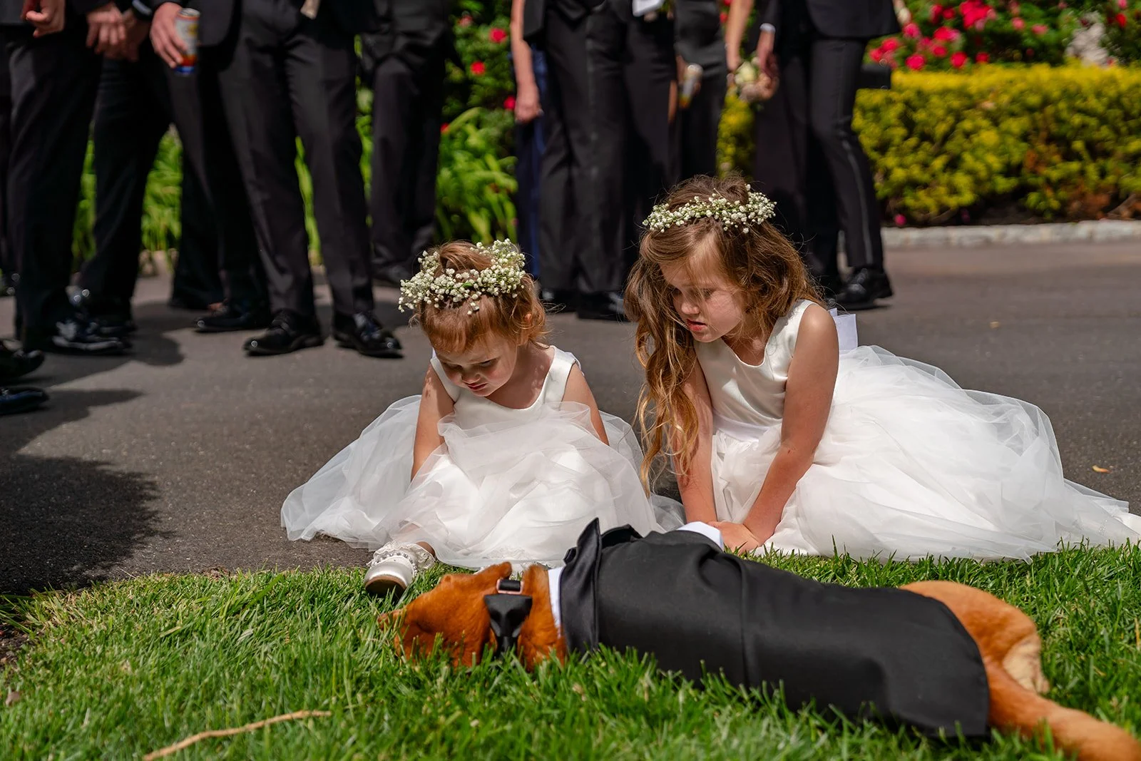 283 Alyssa and Shane - 2025 www.andymacphotography.com_AM10296.jpg