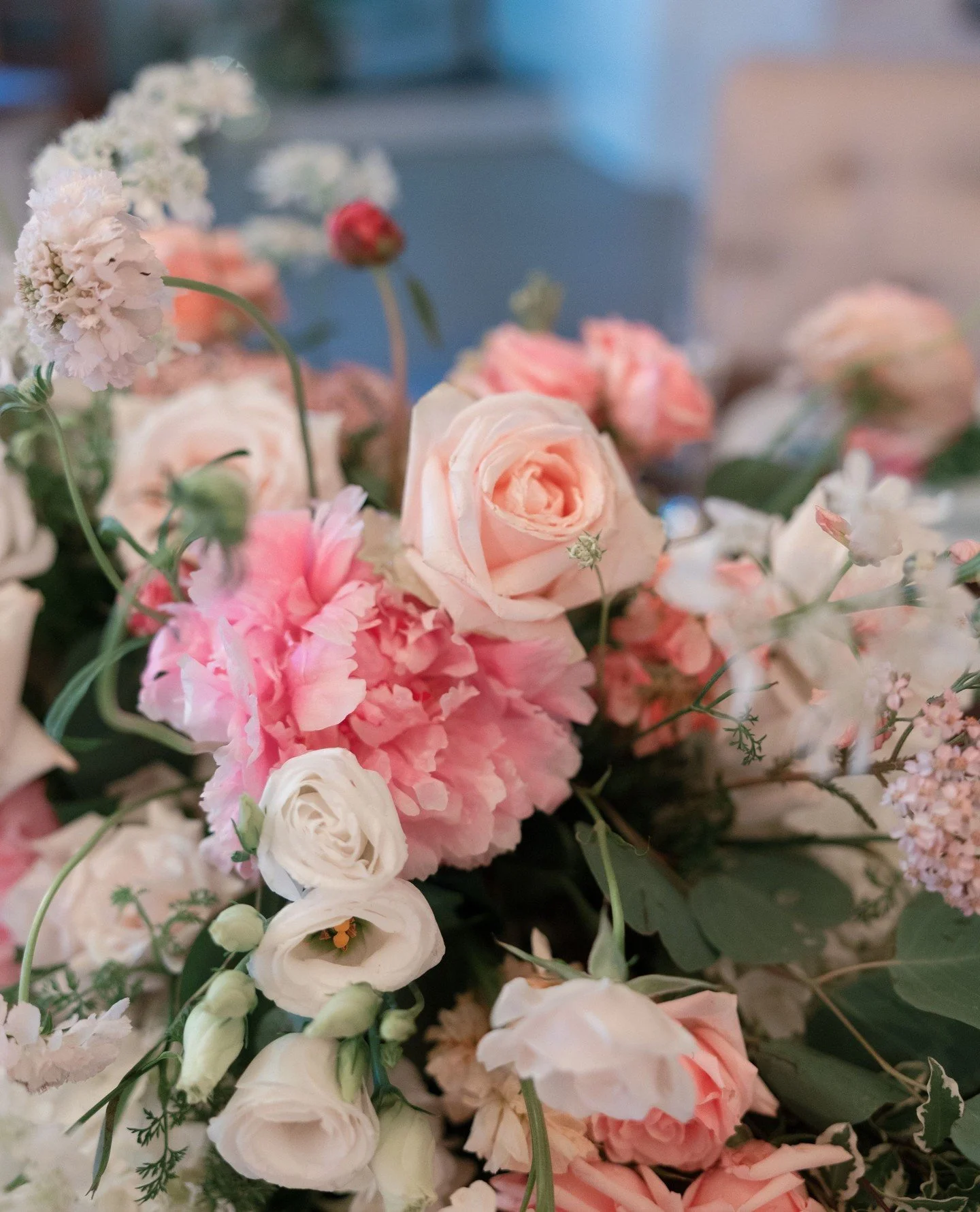These textures 🤩⁠
⁠
@rockislandlakeclub⁠
@jenoceanaphotography⁠
⁠
#weddingdecor #wedding #njflorist #trendybride #modernbride #weddingflowers #weddingfashion #weddingflorist #newjerseybride #weddingbouquet #flowers #flowerstagram #floraldesign #flor