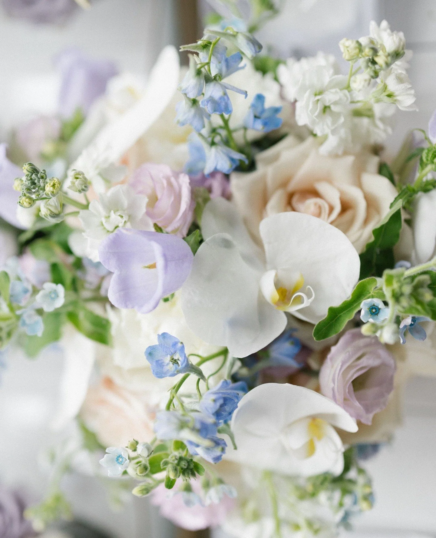 ⁠Dreaming of these florals forever 😍⁠
⁠
@parkchateau⁠
@jordanbrianstudios⁠
⁠
#wedding #weddinginspiration #weddingflowers #florist #flowers