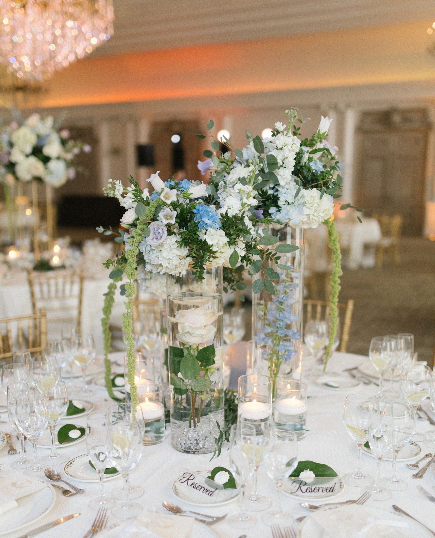 petal perfection⁠
⁠
@parkchateau⁠
@jordanbrianstudios⁠
⁠
#wedding #weddinginspiration #weddingflowers #florist #flowers