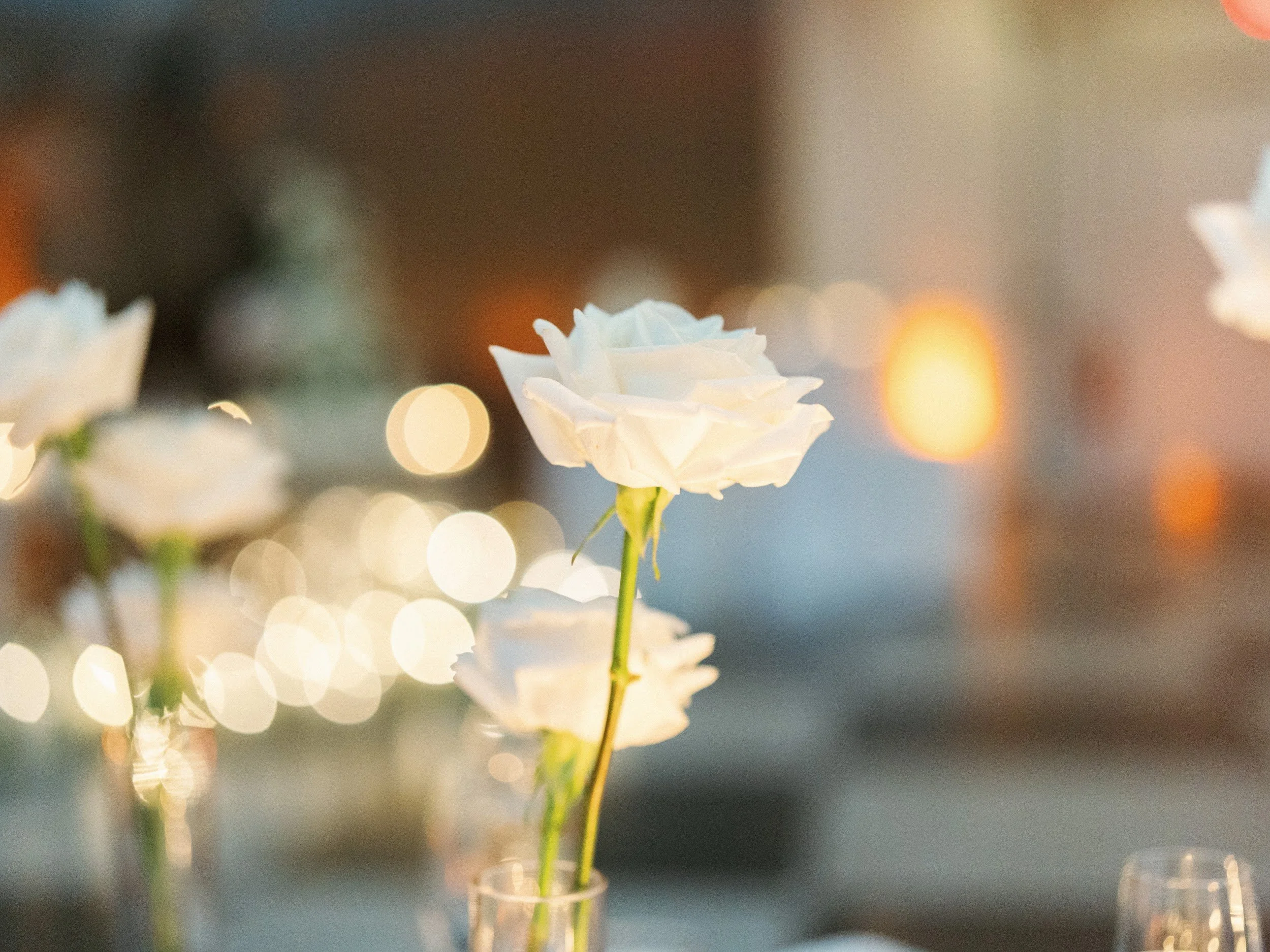 Stephen and James_00679.jpg