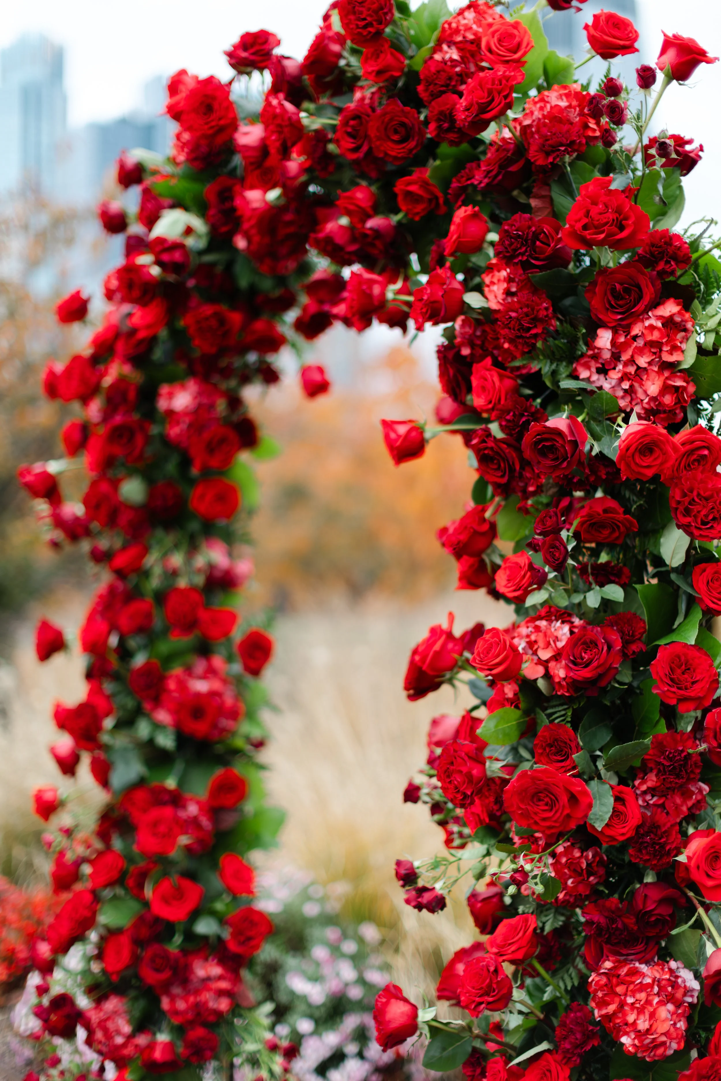 914A7961-Enhanced-NR.jpg