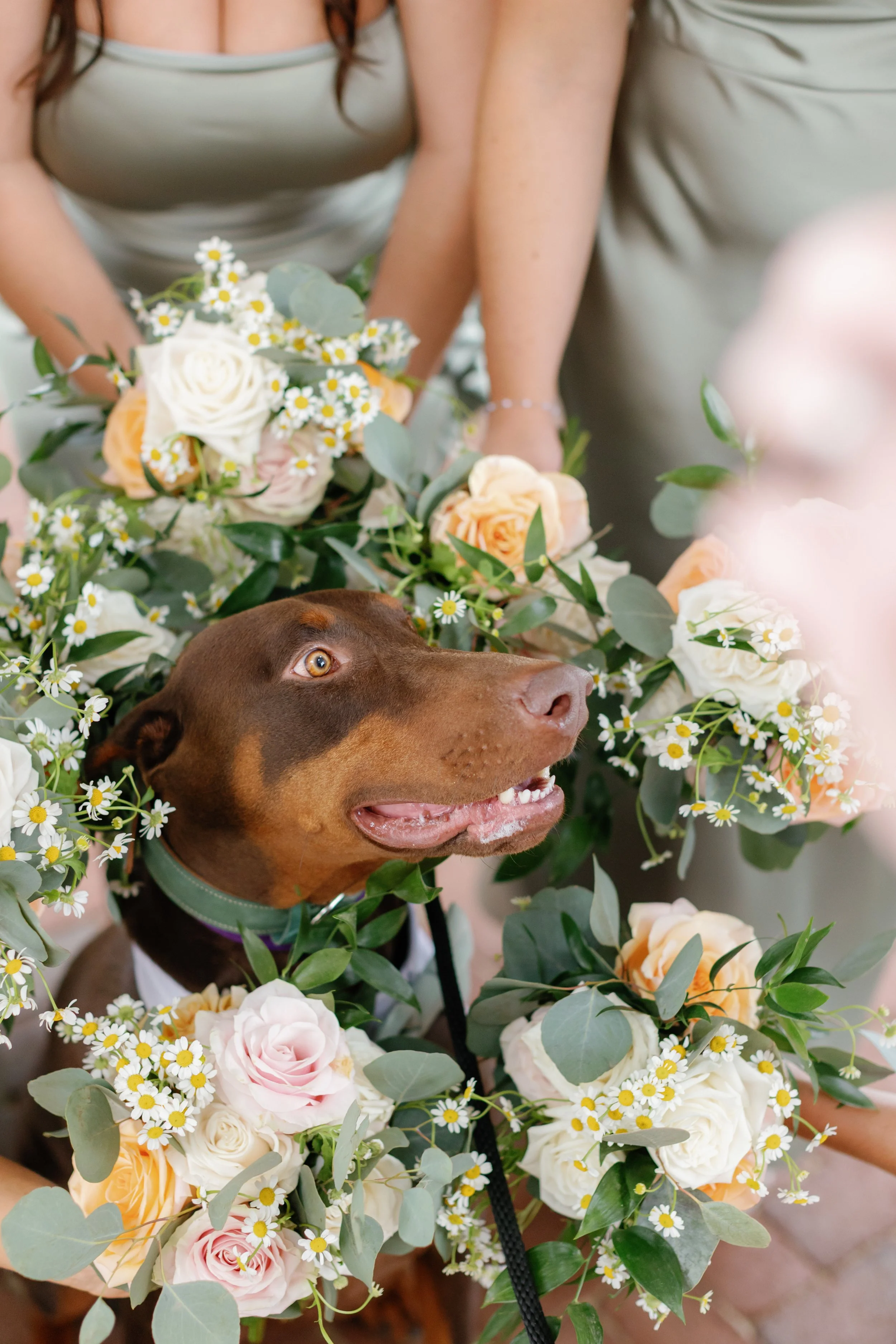 MagdalenaStudios_JuliaRyan_Wedding-923.jpg