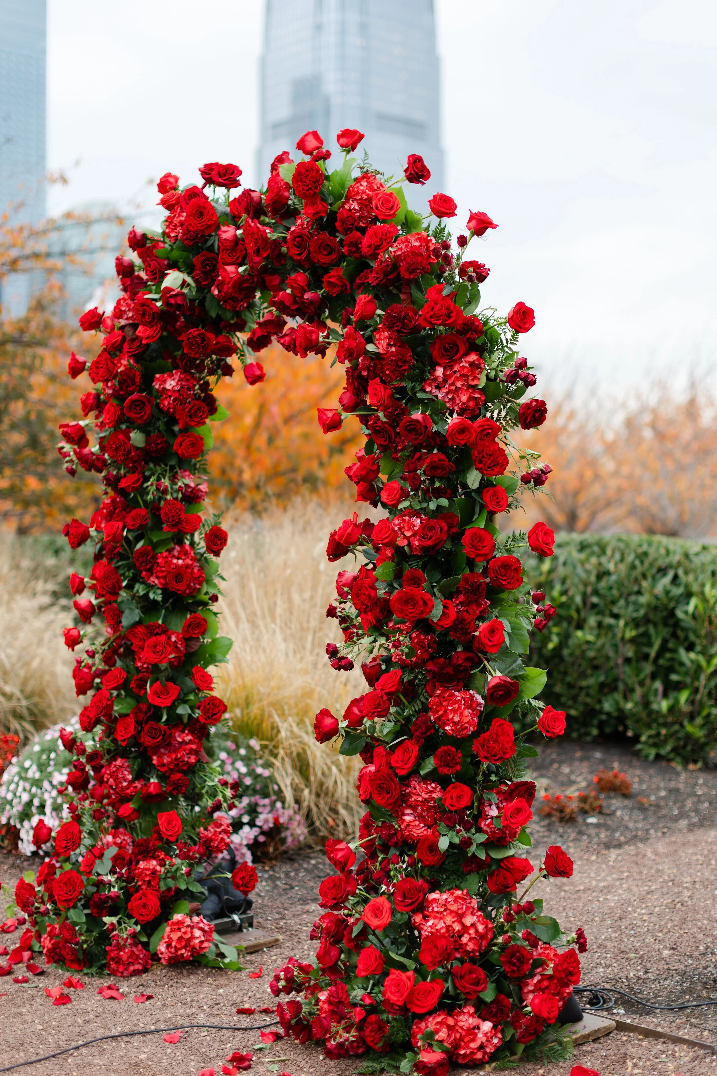 914A7955-Enhanced-NR.jpg