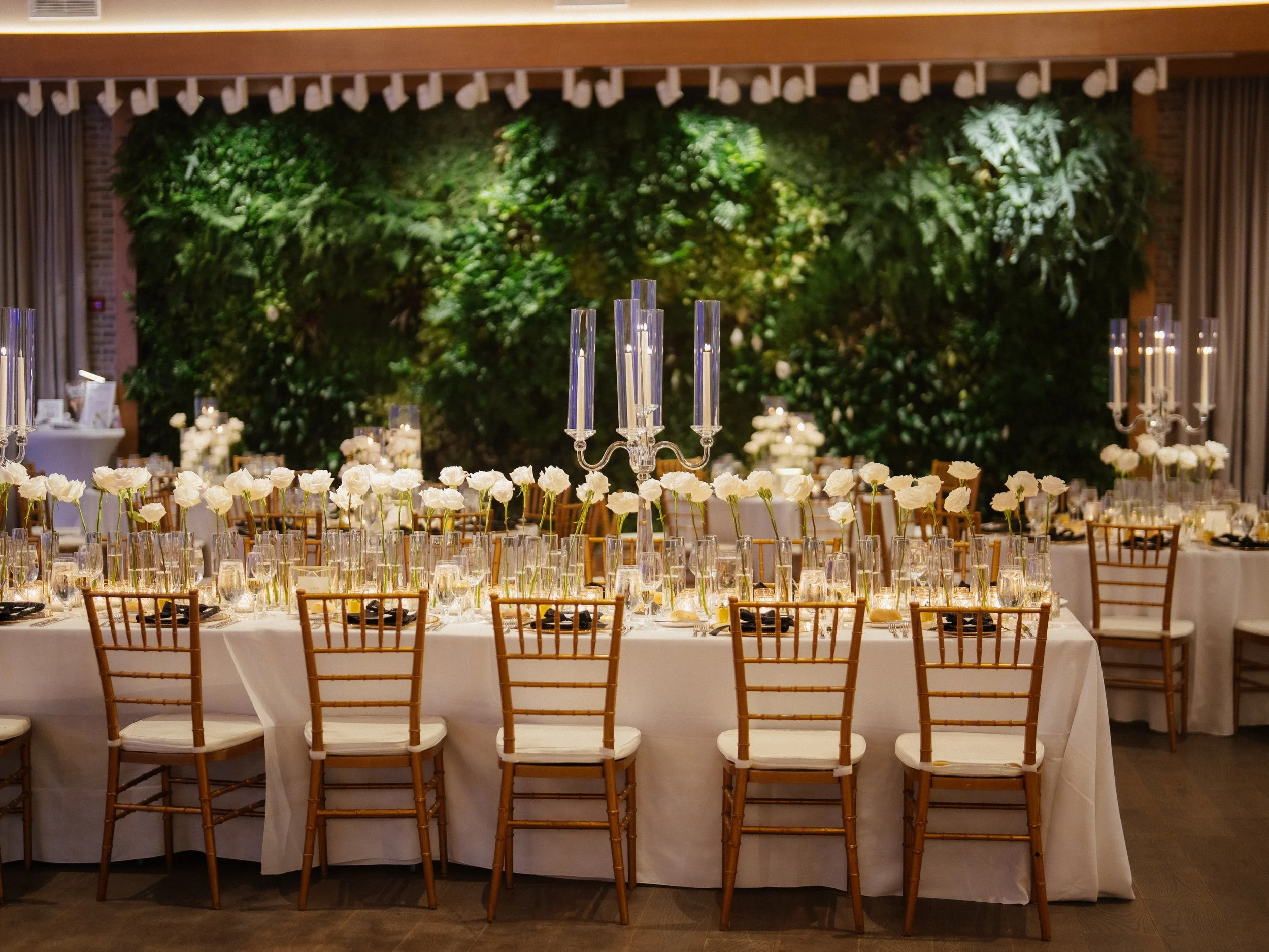 1141 - Jodi + Zach.jpg