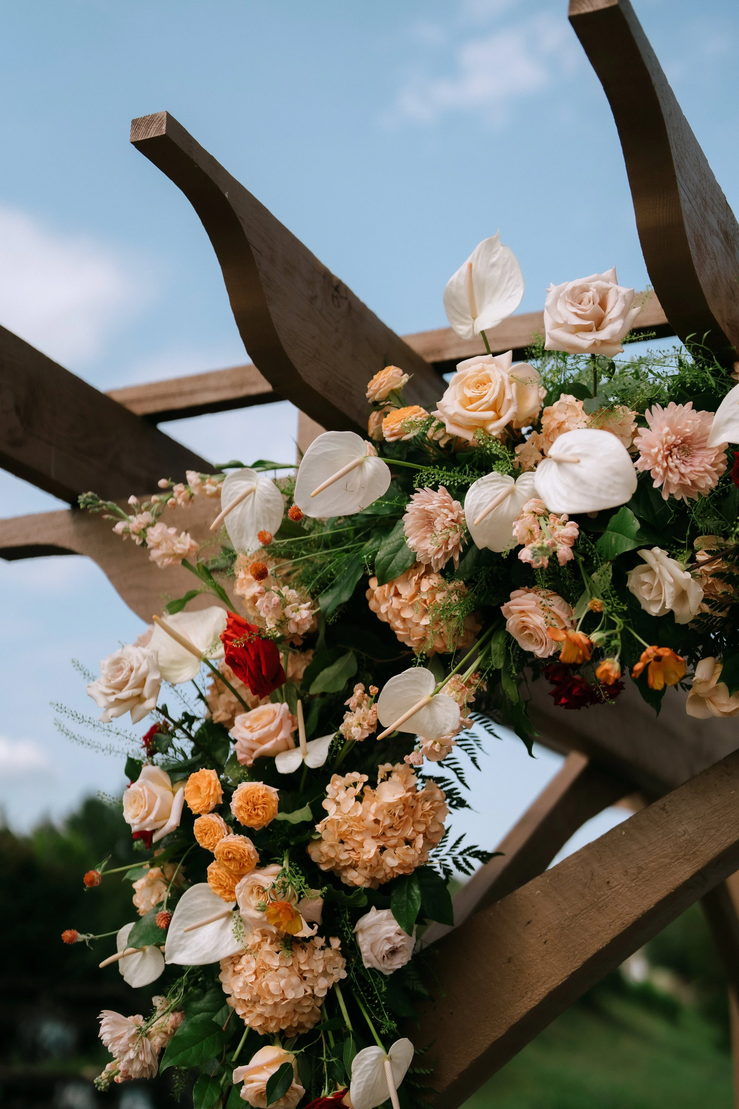 Nadia&Michael-720.jpg