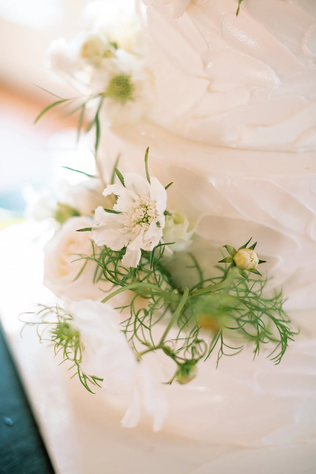 0095-Michelle Behre Photography_Grand Ballroom at the Ryland Inn-DSC_8320.jpg