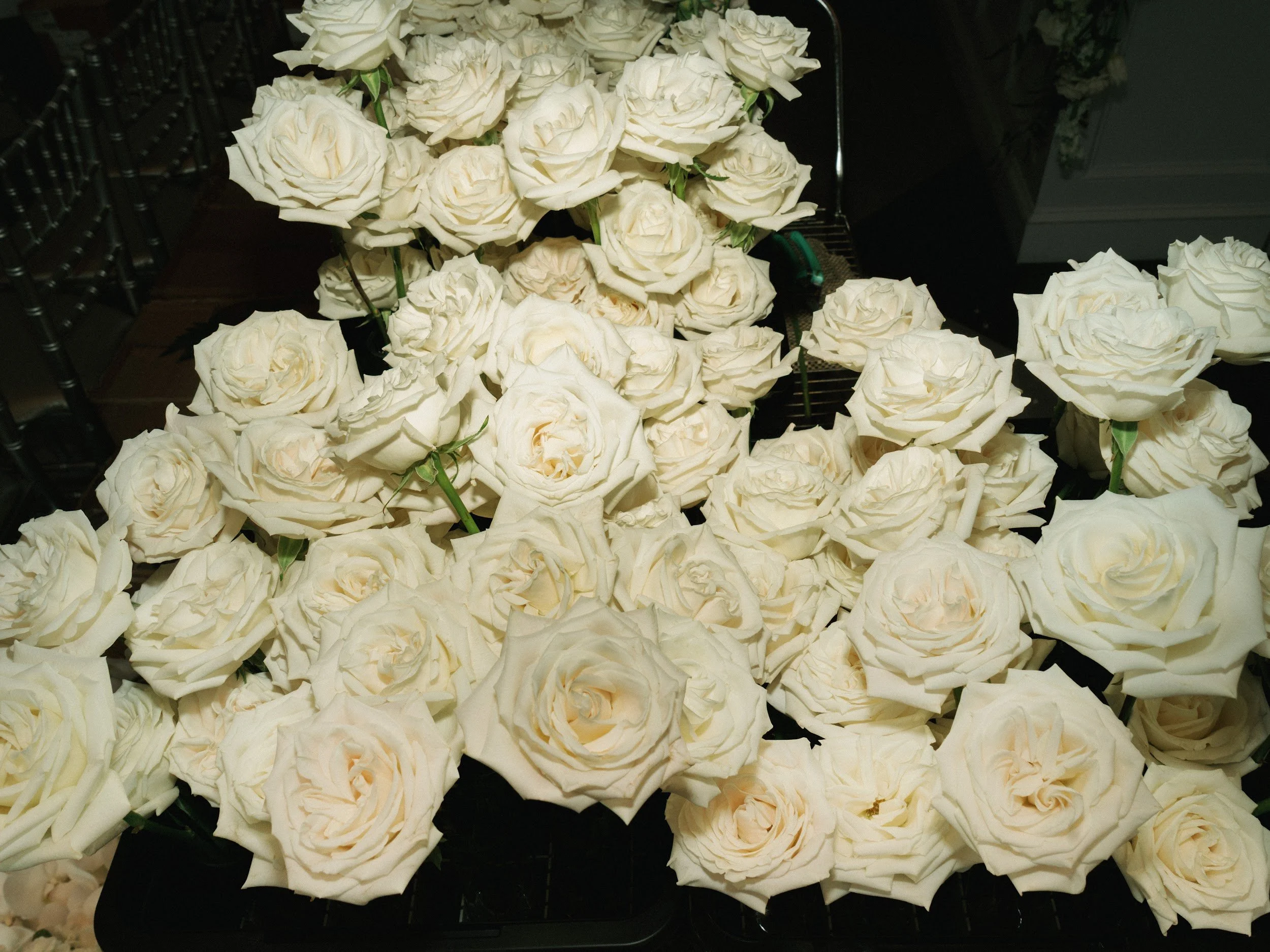 Stephen and James_00044.jpg