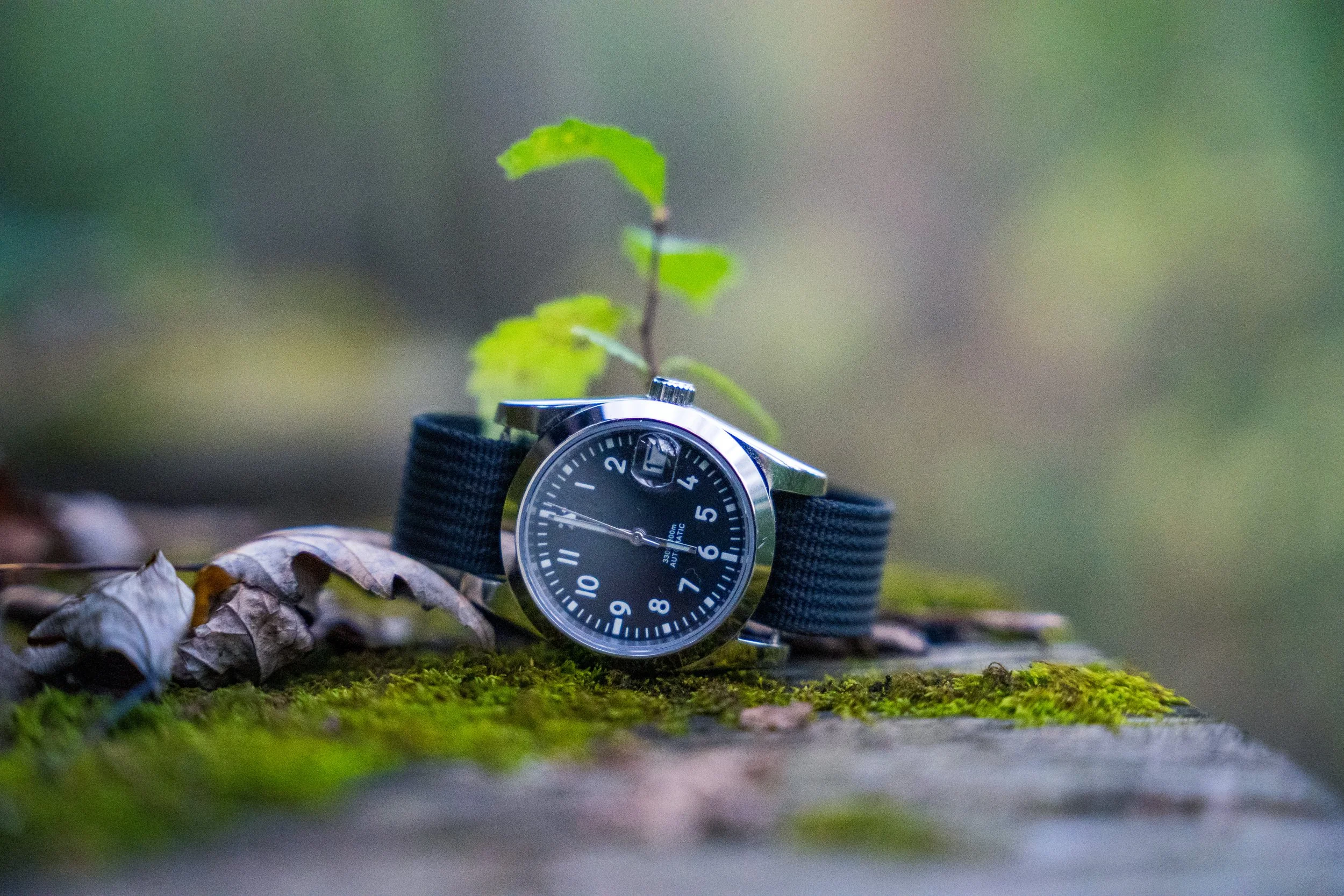 A wristwatch with a black face and black strap resting on mossy ground among dried leaves, with a blurred green and brown background.