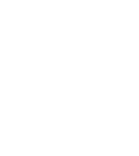 Artist MD