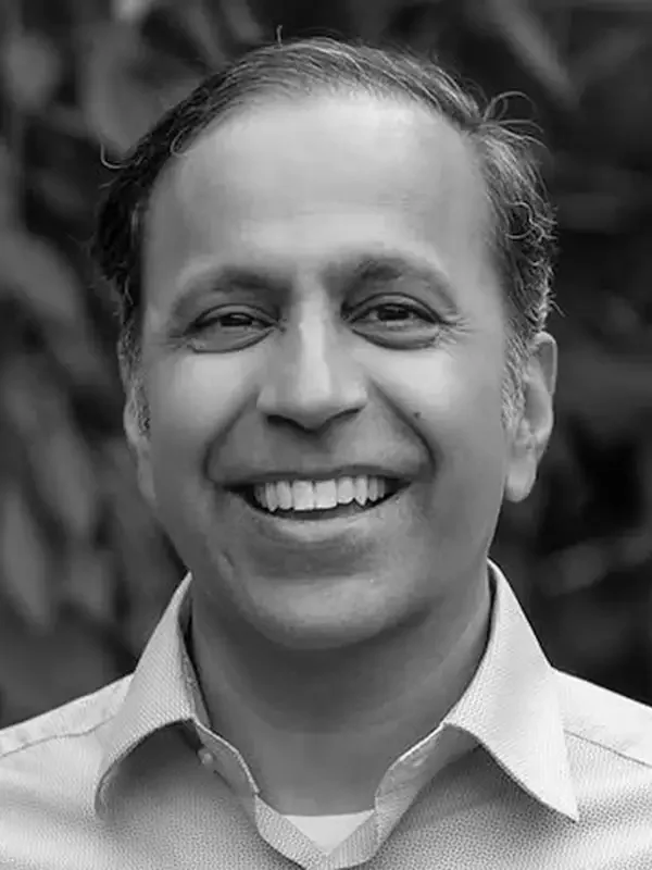 Raja Krishnamoorthi, IL Senate.webp