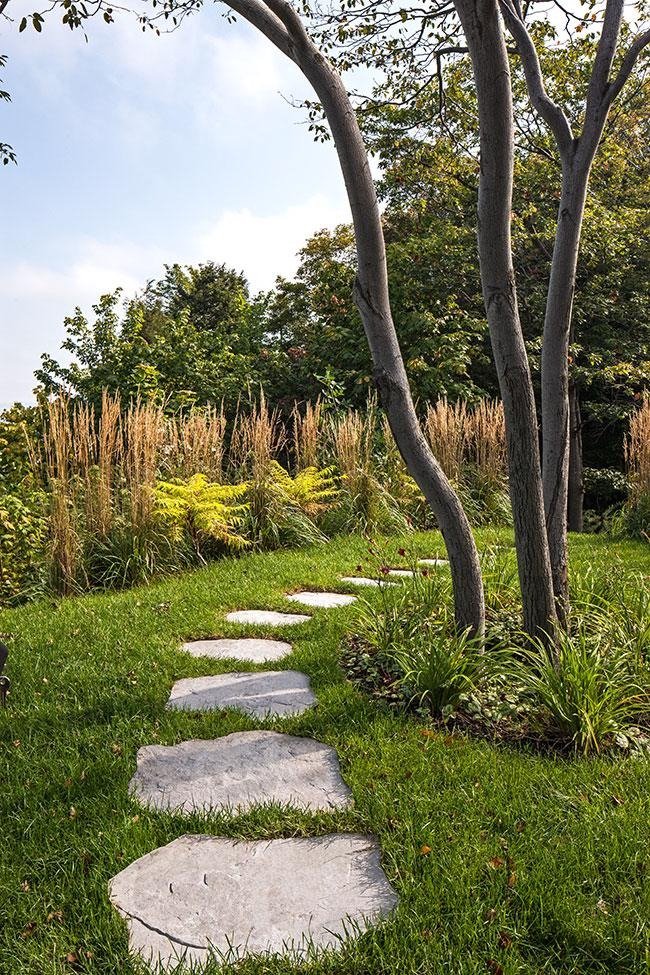 A stone pathway winding through a lush green garden with trees and tall grasses