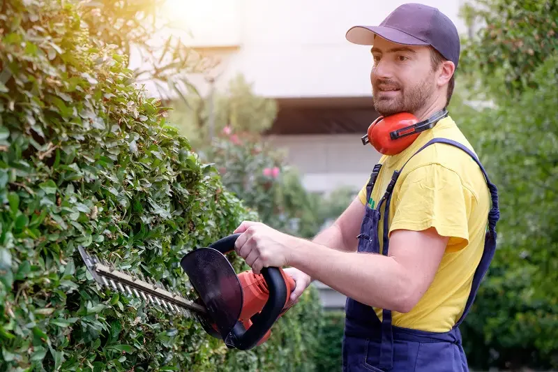 Man using hedge trimmer to trim bushes in a garden