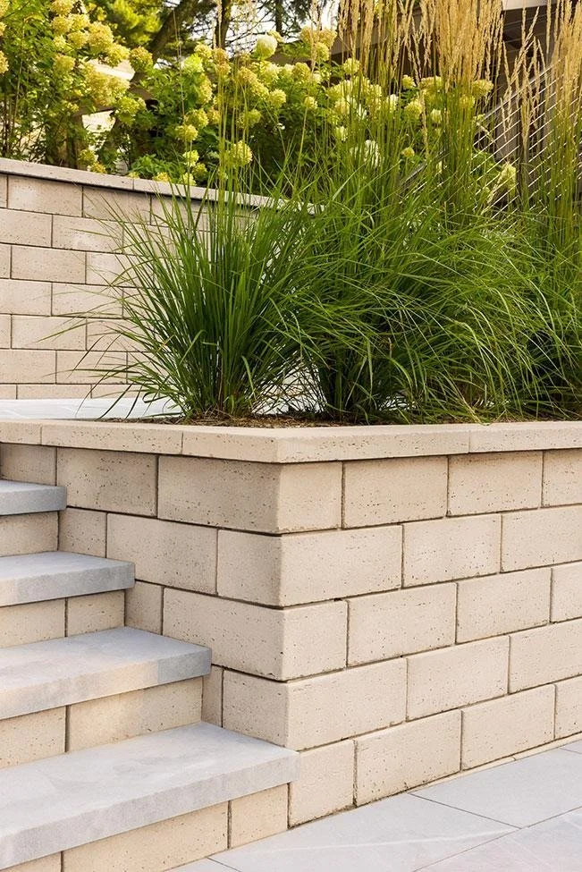 A brick planter box containing green ornamental grasses and yellow flowering bushes, next to a staircase with light-colored concrete steps, adjacent to a brick wall.