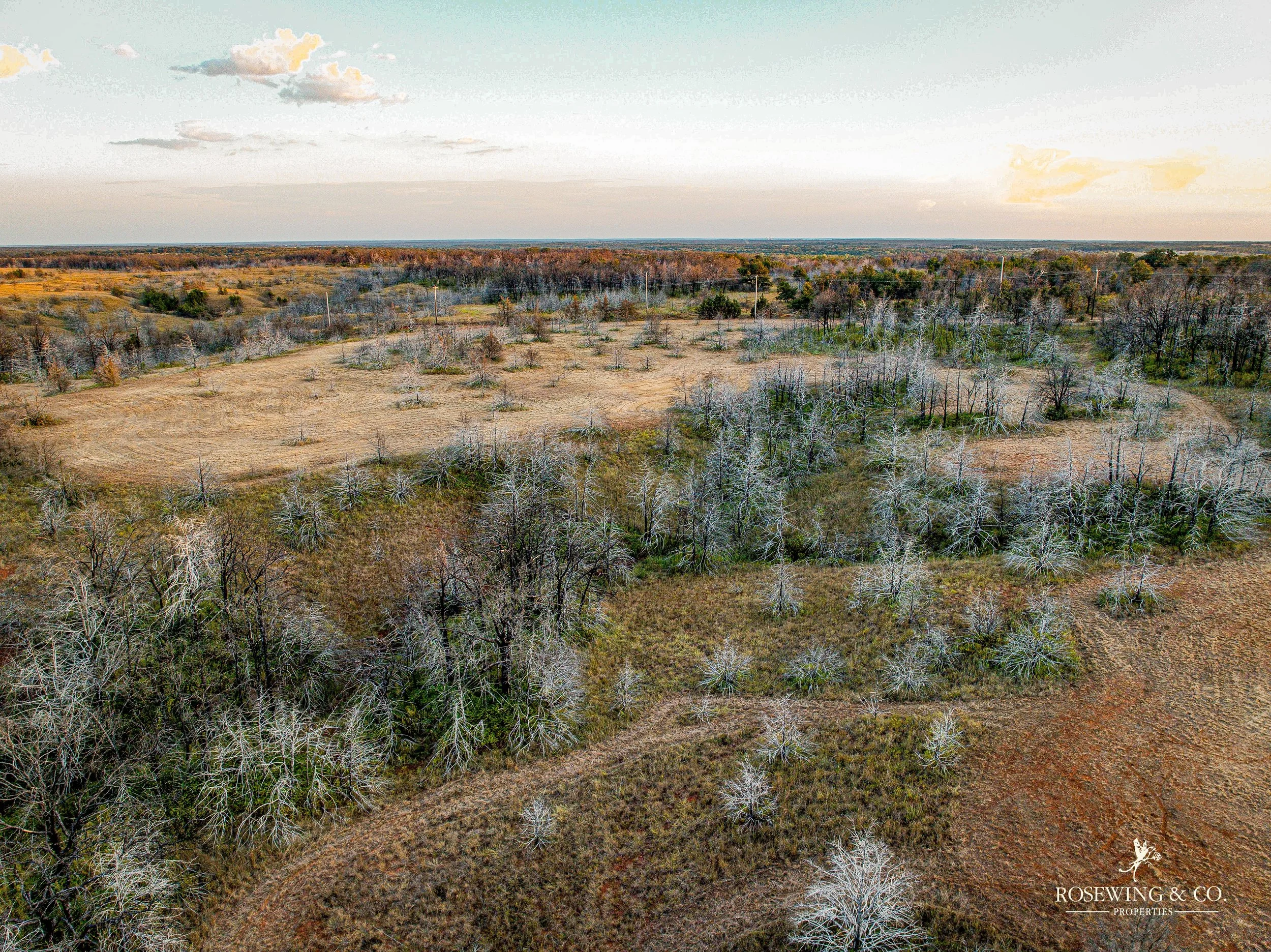dji_fly_20260910_082906_79_1789057117432_photo.jpeg
