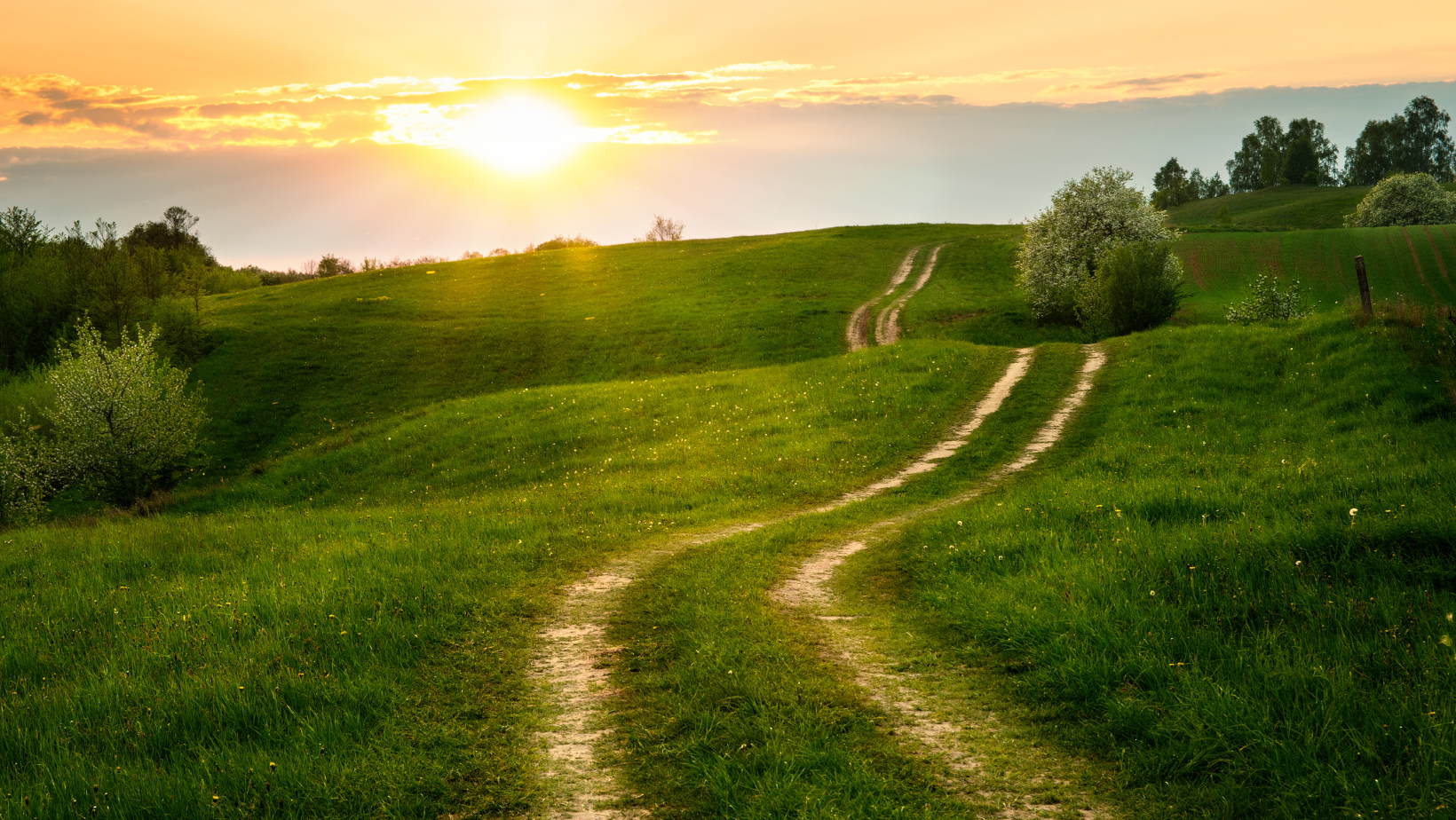 Sunset over a green rolling field with dirt paths and scattered trees.